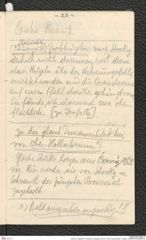 Seite 25, Tagebuch "Pressburg | Budapest | Brünn | Cilli | Prag, Breslau, Troppau" (NHMW-PRAE-BBB-44)